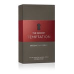 Antonio Banderas The Secret Temptation Edt 100 Ml