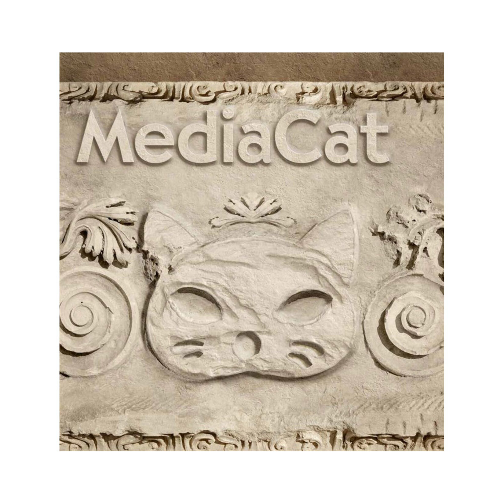 Media Cat