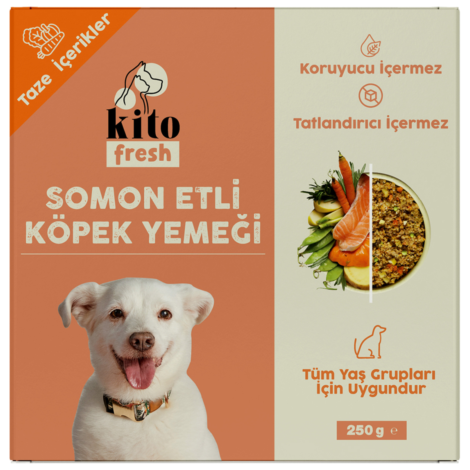 Kito Fresh Somon Etli Köpek Yemeği 250 G