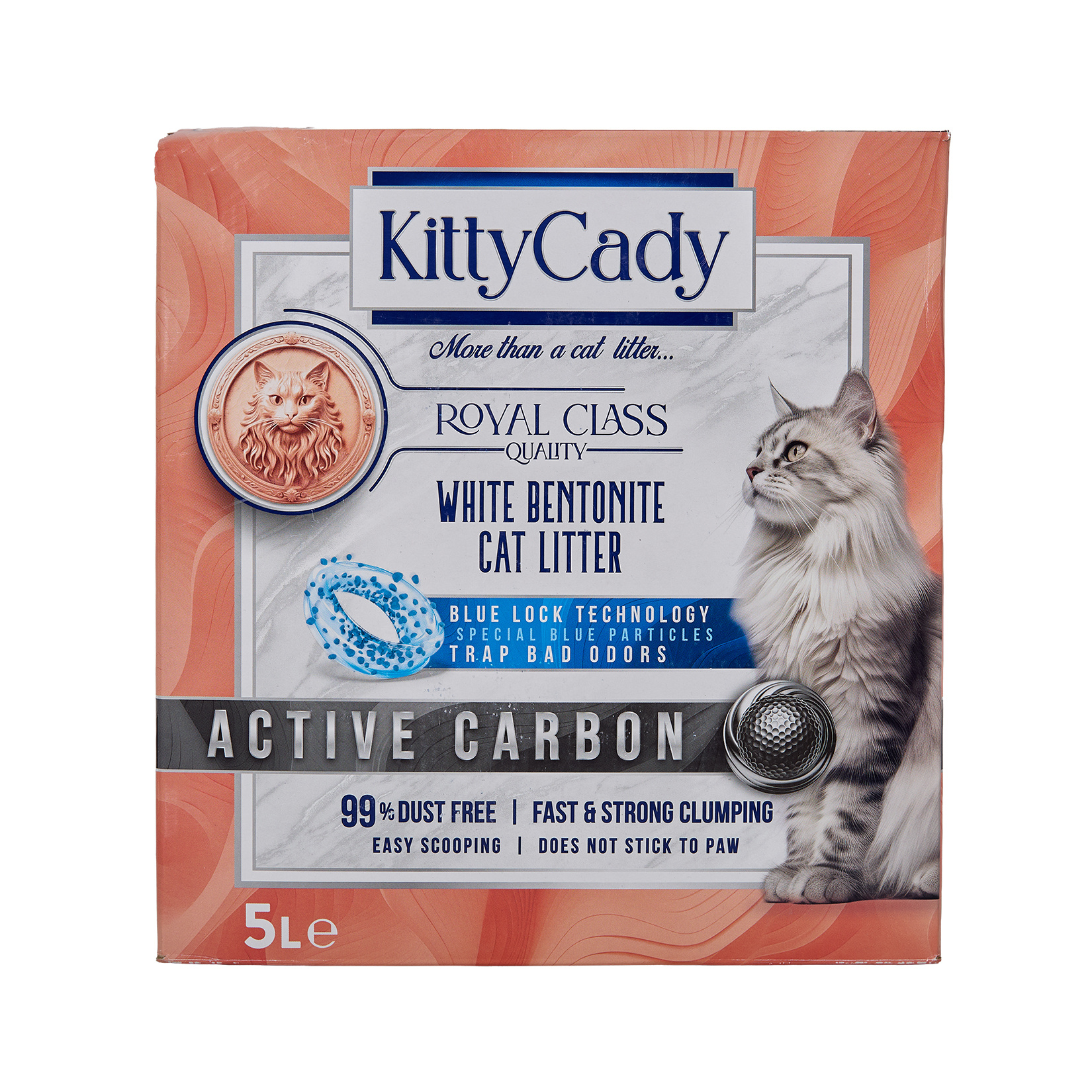 Kitty Cady Active Carbon Kedi Kumu 5 L