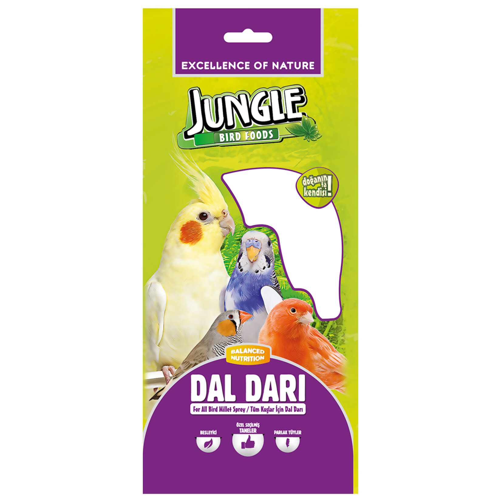Jungle Doğal Dal Darı 120 G