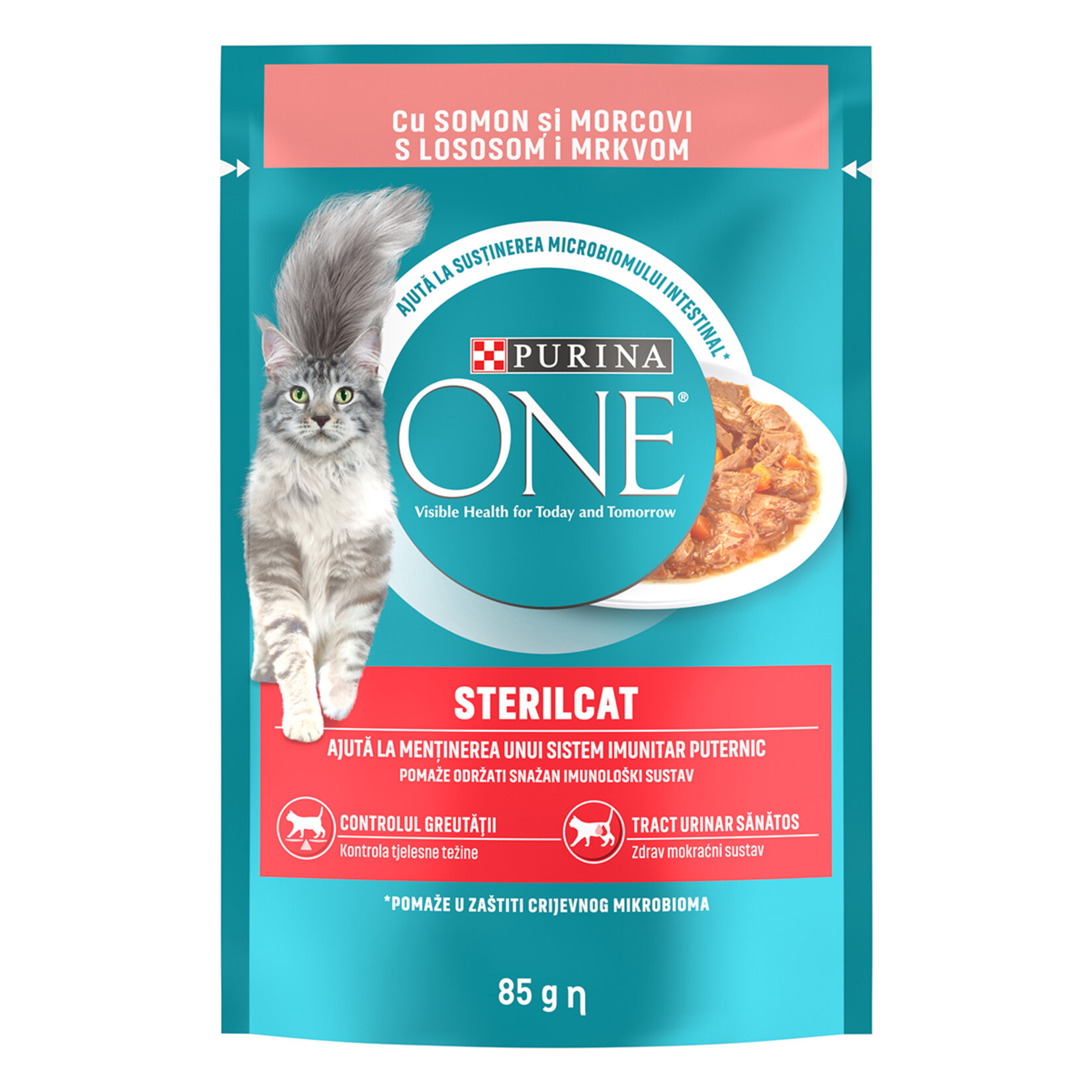 Purina One Kısırlaştırılmış Kedi Maması Somon & Havuç 85G