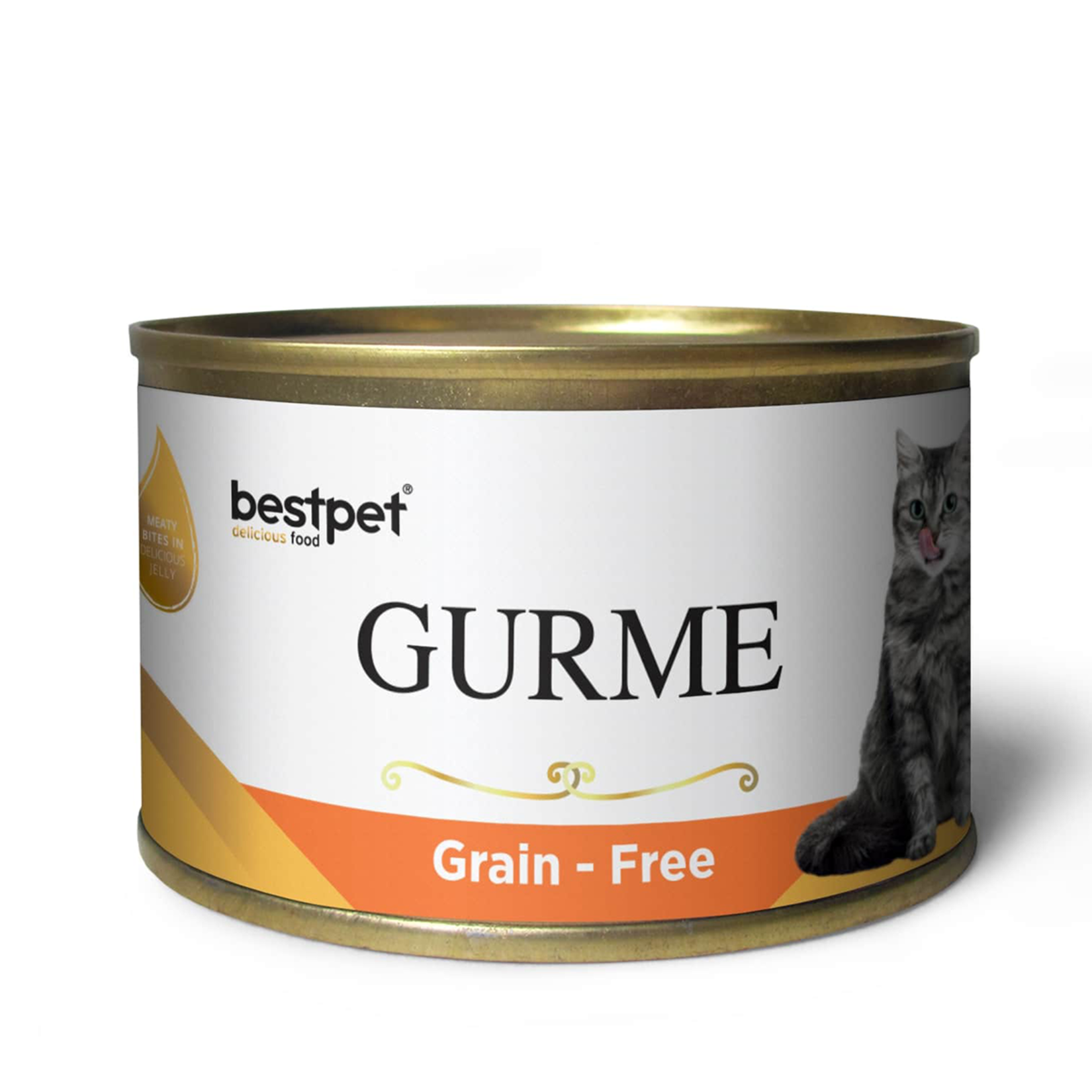 Bestpet Gurme Somonlu Jöleli Yaş Kedi Maması 100 G