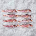 Çizgili Paşa Barbun Kg