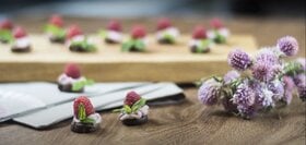 Mascarpone Kremalı Çikolatalı Tarallini Lokmaları