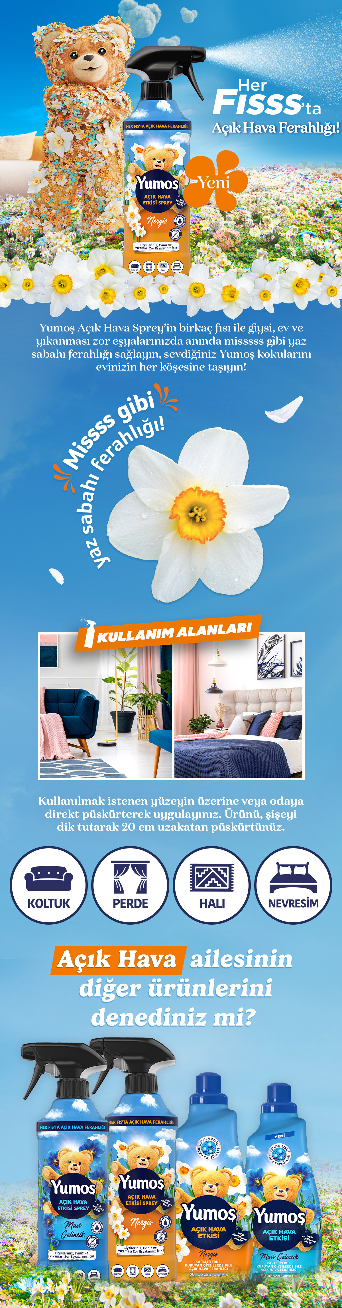 Ürün Detayı
