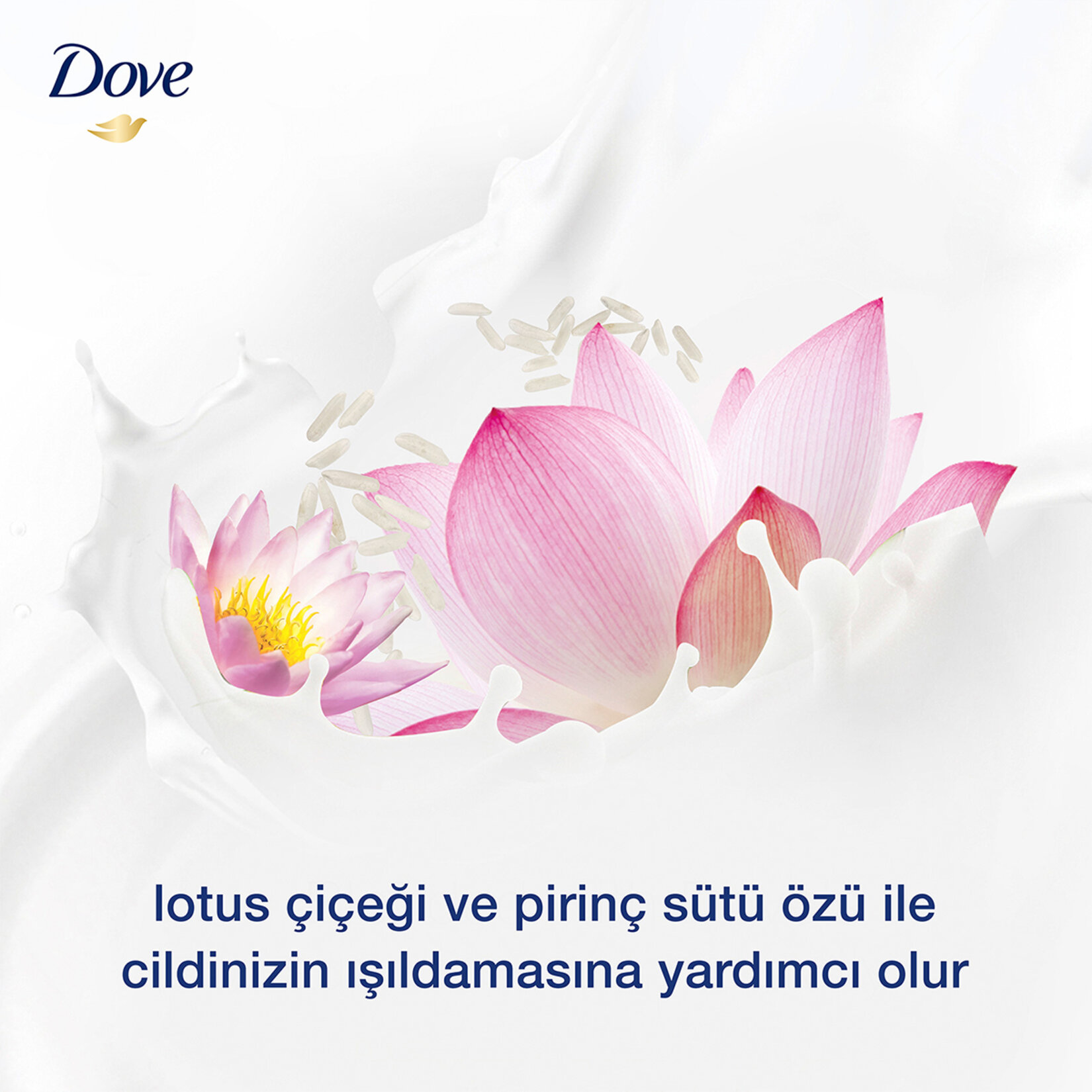 Dove Nemlendirici Sıvı Sabun Lotus Çiçeği ve Pirinç Özü 450 Ml - Görsel 5
