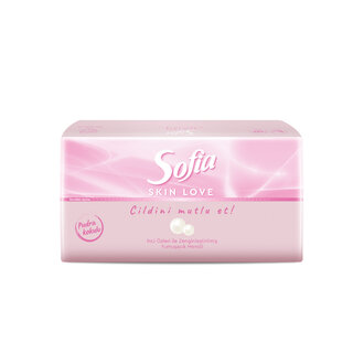 Sofia Skin Love Pudra Kokulu Mendil 100'lü