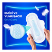 Orkid Ultra Extra Normal Tekli 8'li - Görsel 3