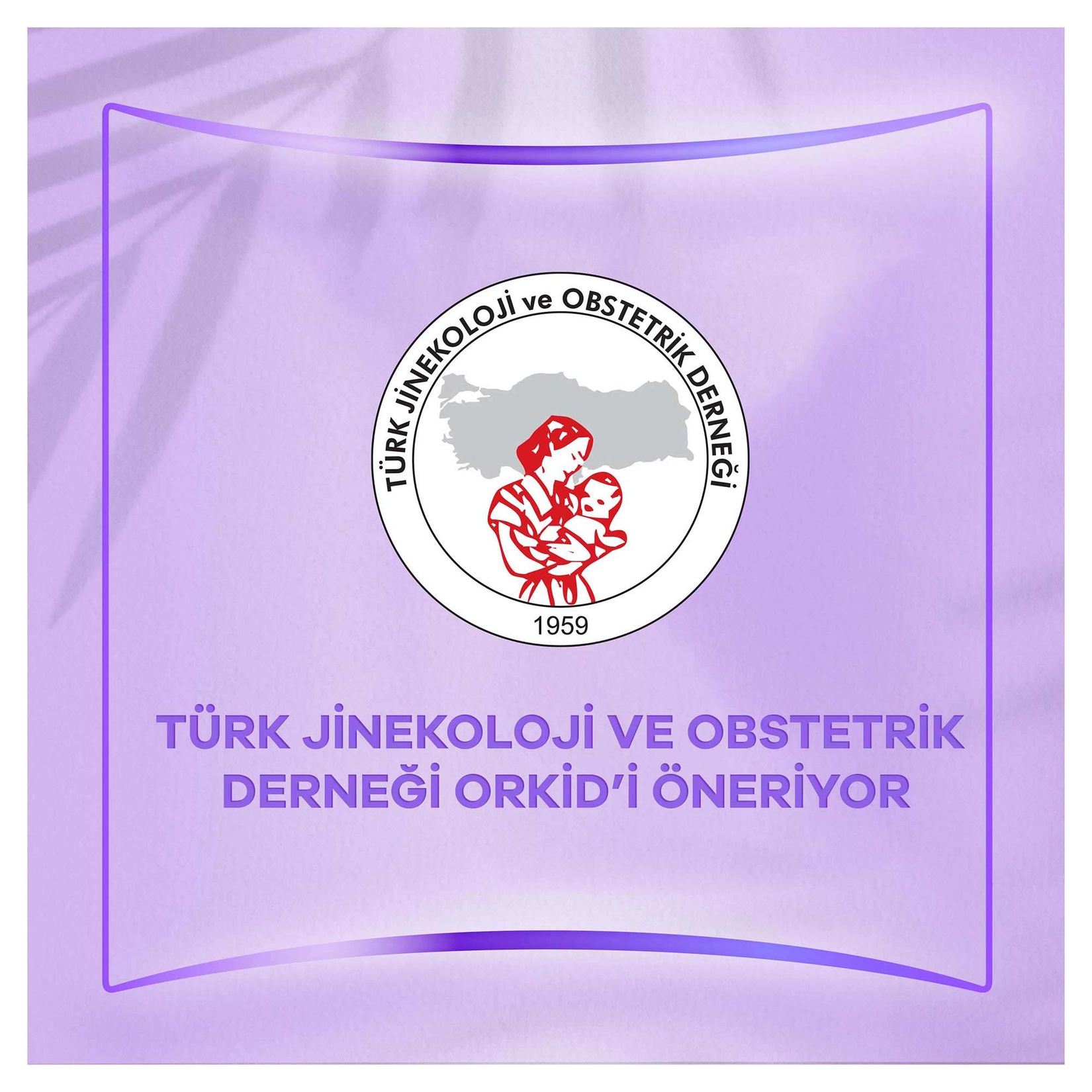 Orkid Günlük Koruma Çanta Paket Süper Ekonomik Normal 48'li - Görsel 6