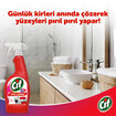 Cif Her Yer Leke Uzmanı 750 Ml - Görsel 4