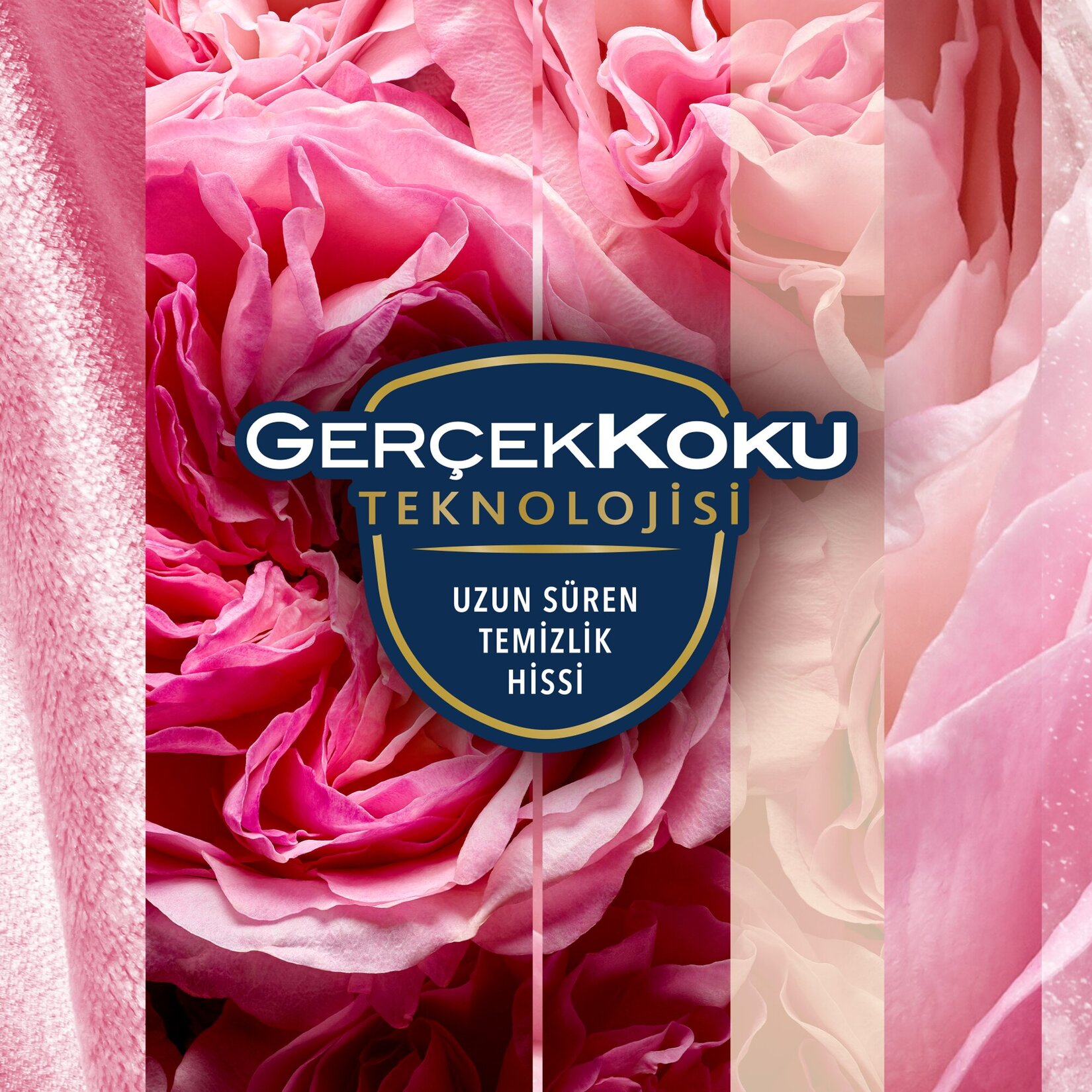 Glade Aerosol Oda Kokusu Aşkın Büyüsü 300ml - Görsel 5