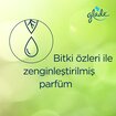 Glade Oto Kokusu Mango - Görsel 4