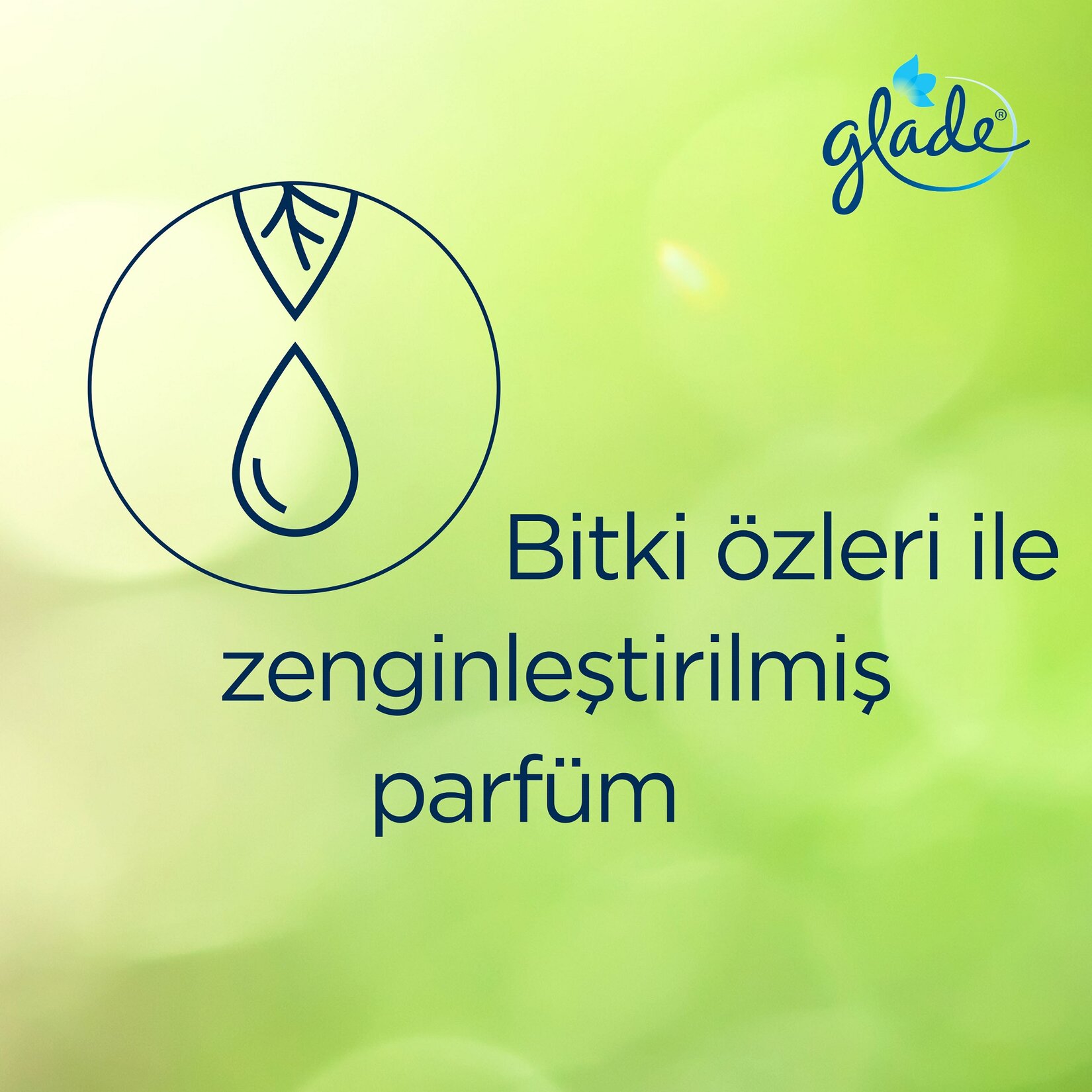 Glade Oto Kokusu Mango - Görsel 4