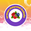 Dalin Orman Meyveli Köpük Sabun 200 Ml - Görsel 3