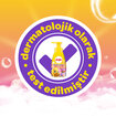 Dalin Orman Meyveli Köpük Sabun 200 Ml - Görsel 4