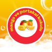 Dalin Mango & Portakal Kokulu Köpük Sabun 200 Ml - Görsel 4