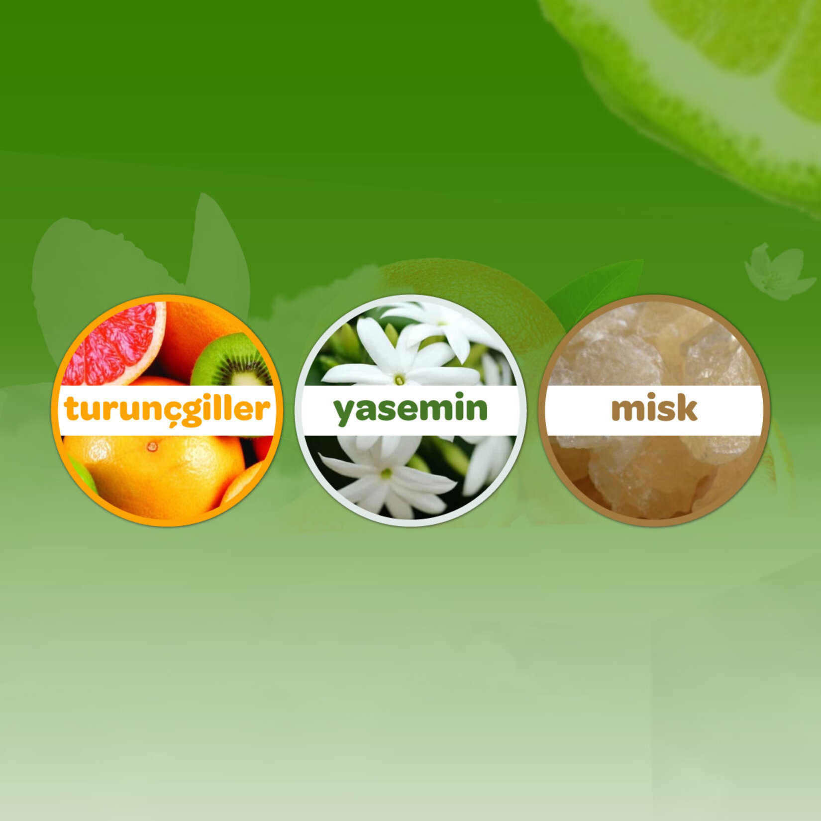 Dalin Orman Esintisi Bebek Kolonyası 150 Ml - Görsel 3