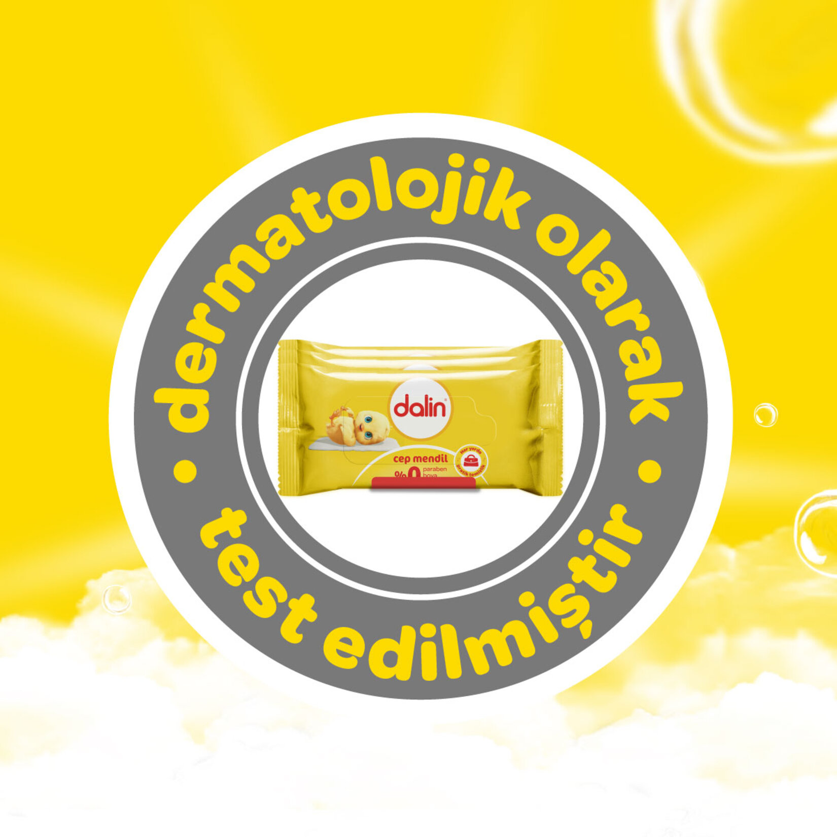 Dalin Islak Cep Mendili 3x15'li