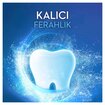 İpana Komple 7 Ferahlık Diş Macunu 65Ml - Görsel 4