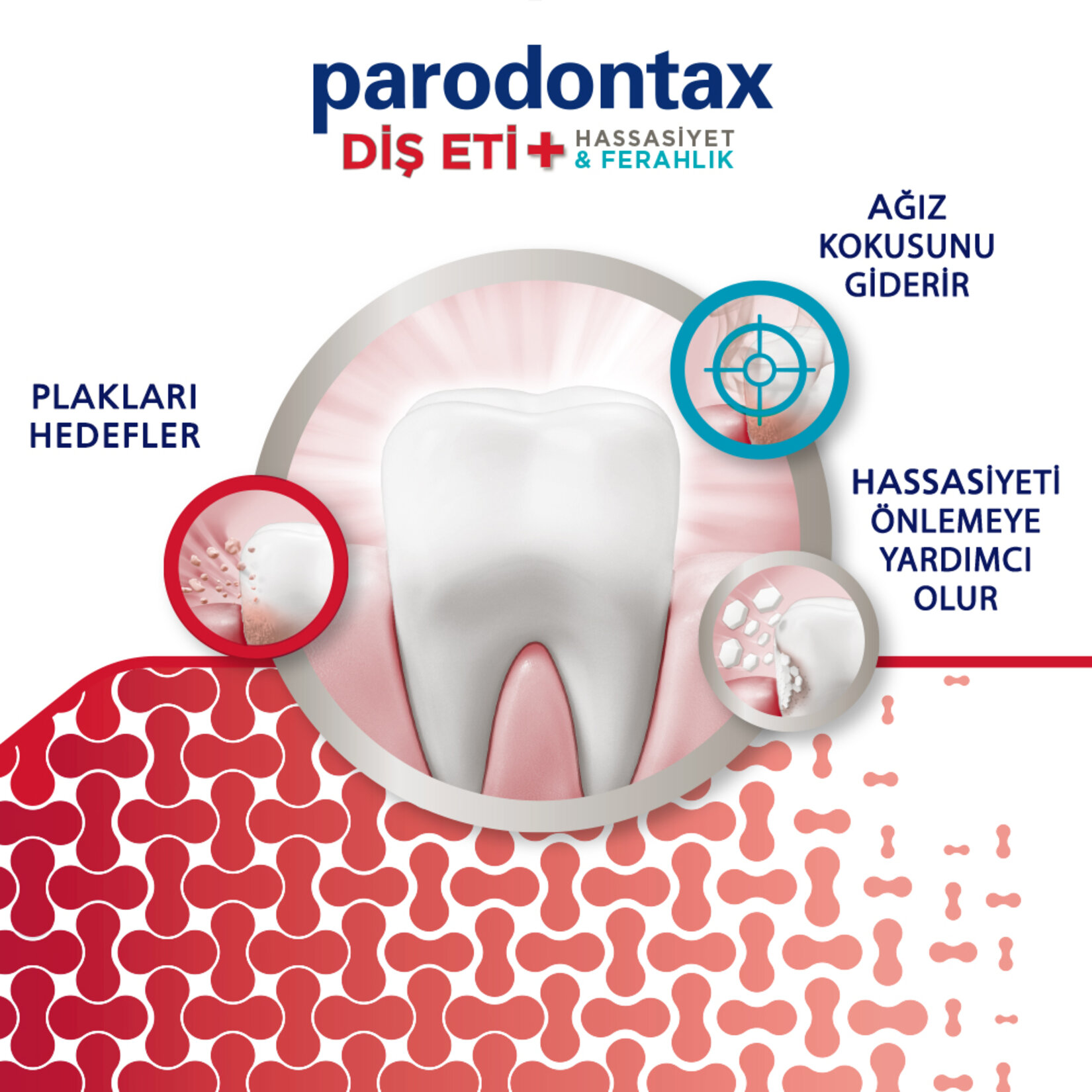 Parodontax Diş Eti + Hassasiyet & Ferahlık Diş Macunu 75 ml - Görsel 3