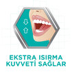 Corega Diş Protezi Yapıştırıcı Krem 40 G - Görsel 3