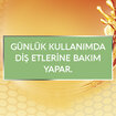 Colgate Gum Invigorate Ağız Bakım Suyu 500 Ml - Görsel 4