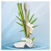 Oral-B Bambu Manuel Diş Fırçası - Görsel 2