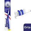 Sıgnal Orta Performance Diş Fırçası - Görsel 2