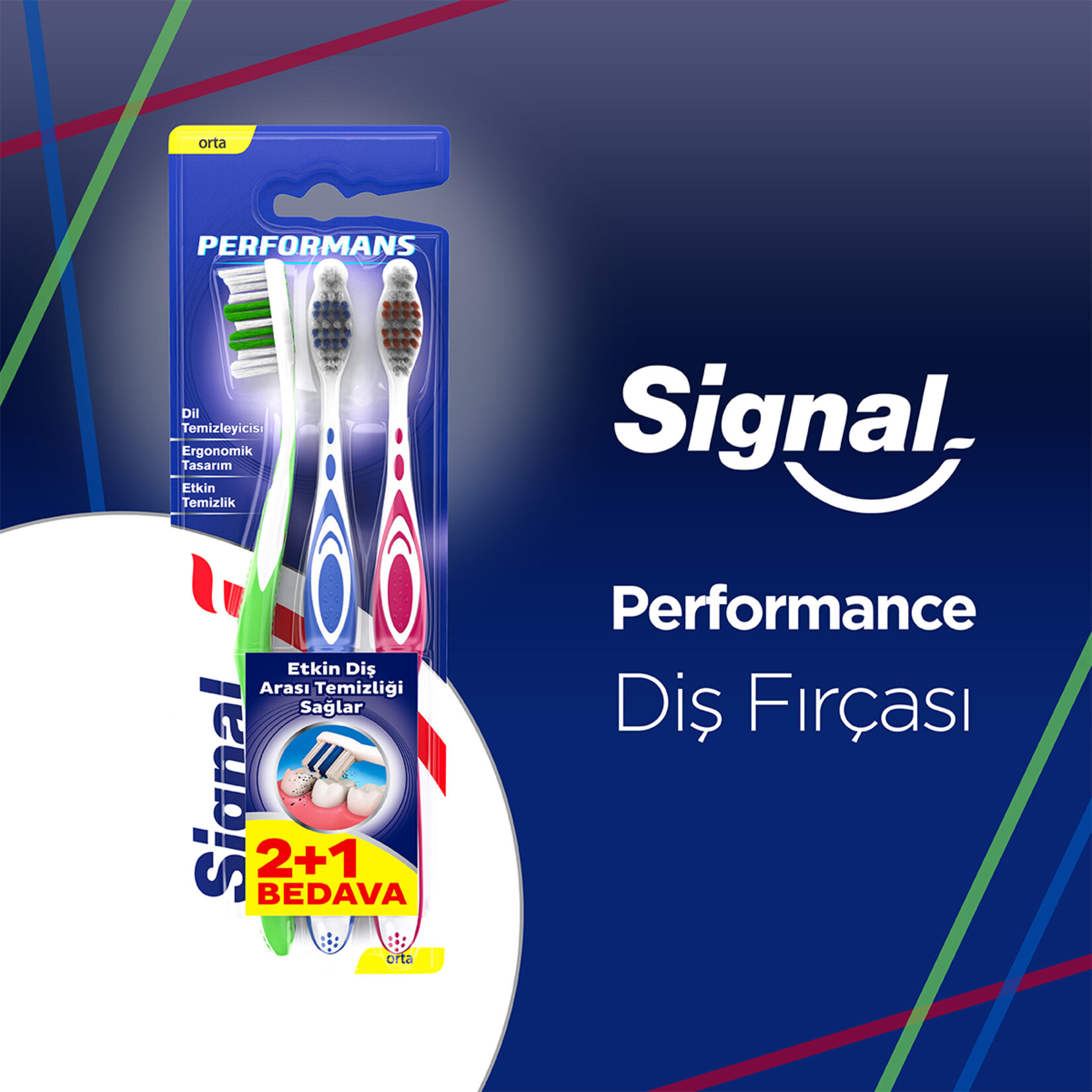 Sıgnal Perfomans 2+1 Orta Diş Fırçası - Görsel 3