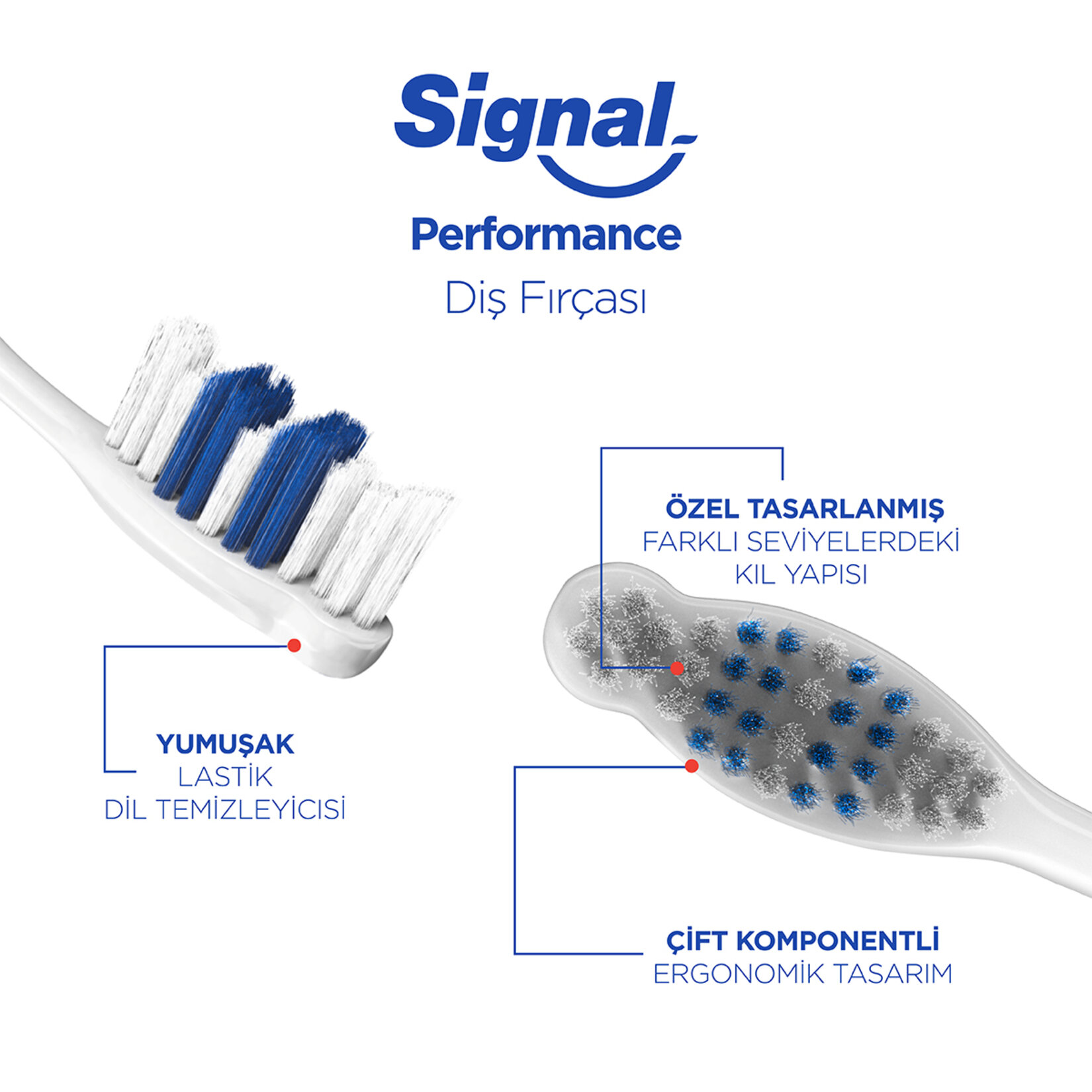 Sıgnal Perfomans 2+1 Orta Diş Fırçası - Görsel 5