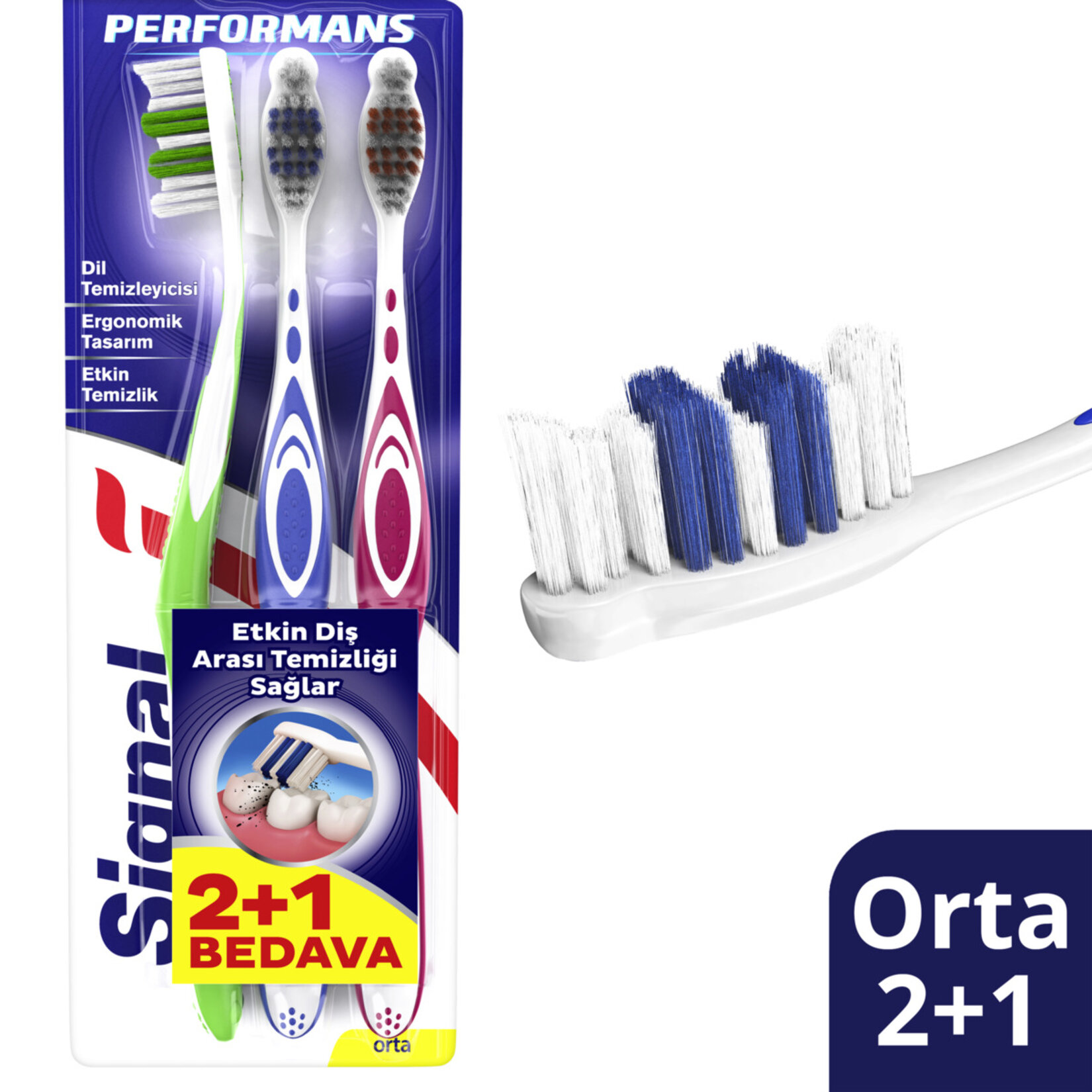 Sıgnal Perfomans 2+1 Orta Diş Fırçası - Görsel 2