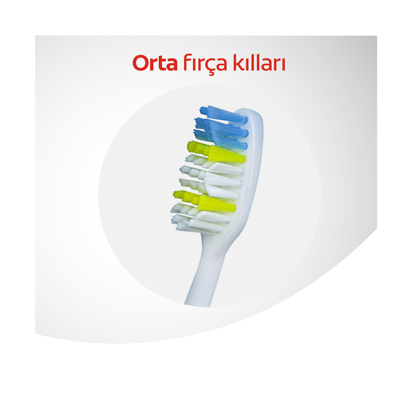 Colgate Extra Clean Orta Diş Firçasi 2+1 - Görsel 4
