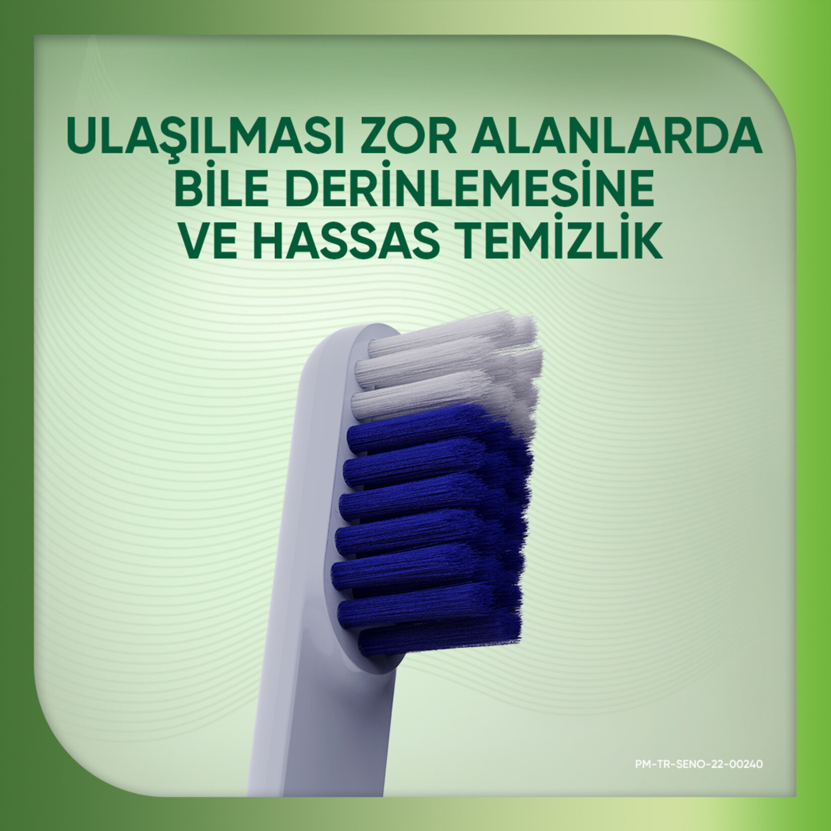 Sensodyne Nourish Sağlıklı Beyazlık Yumuşak Diş Fırçası 1+1 - Görsel 3