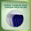 Sensodyne Nourish Sağlıklı Beyazlık Yumuşak Diş Fırçası 1+1 - Görsel 2