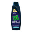 Blendax Nane Özlü Erkek Şampuanı 500 Ml - Görsel 1
