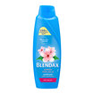 Blendax Kiraz Çiçeği Özlü Şampuan 500 Ml - Görsel 1