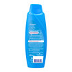 Blendax Kiraz Çiçeği Özlü Şampuan 500 Ml - Görsel 2