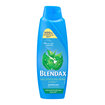 Blendax Isırgan Özlü Şampuan 500 Ml - Görsel 1