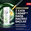 Clear Women Kepeğe Karşı Etkili Şampuan Bitkisel Sentez Aloe Vera & Çay Ağacı Yağı 350 ml - Görsel 3