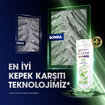 Clear Women Kepeğe Karşı Etkili Şampuan Bitkisel Sentez Aloe Vera & Çay Ağacı Yağı 350 ml - Görsel 4
