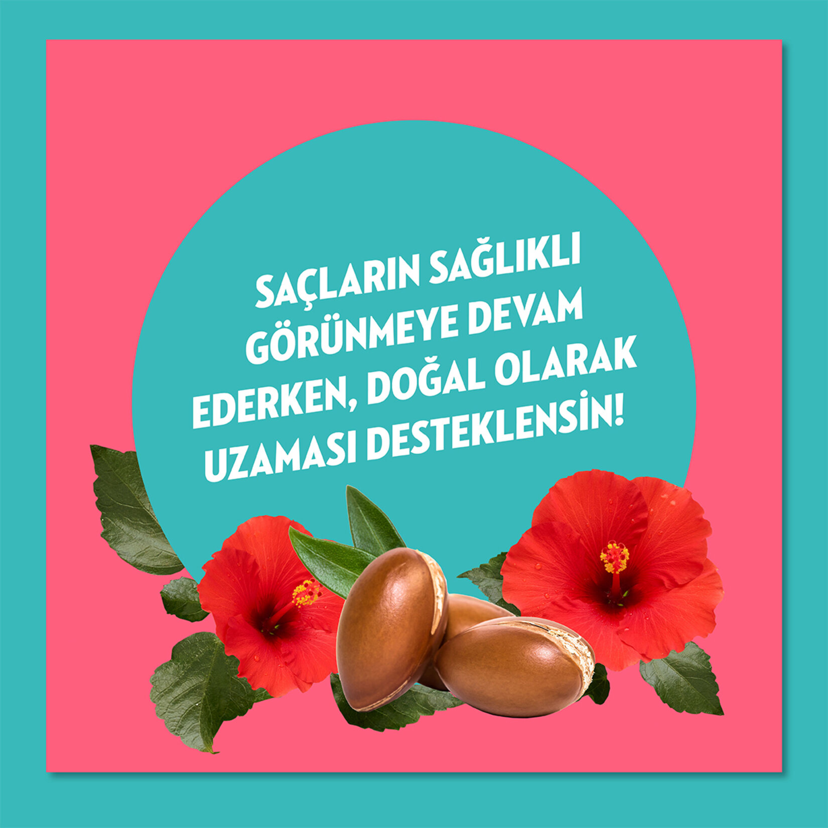 Elidor Onarıcı Süper Saç Bakım Kremi Argan Yağı ve Hibiskus Özü 170 ml - Görsel 5