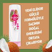 Elidor Saç Bakım Kremi Hindistan Cevizi Yağı 350 ml - Görsel 3