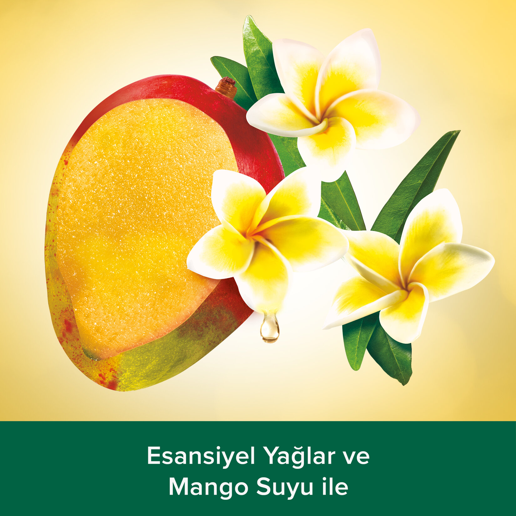 Palmolive Aroma Sensations Feel Good Duş Jeli 500 Ml - Görsel 3