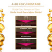 Palette Deluxe Saç Boyası Koyu Kestane 4-68 115 Ml - Görsel 2