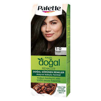 Palette Kalıcı Doğal Renkler 1-0 Siyah Saç Boyası 110 Ml