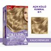 Koleston Supreme Sonsuz Işıltılı Küllü Tonlar Saç Boyası 8/1 Açık Küllü Kumral - Görsel 2
