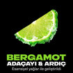 Axe Erkek Sprey Deodorant Aqua Bergamot 150 ml - Görsel 5