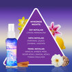 So...? Body Mist Summer Escapes Mini Set 4x50ml - Görsel 4