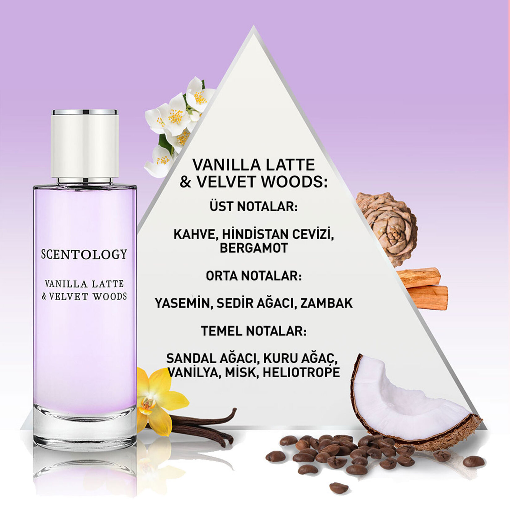 Scentology Vanılla Latte & Velvet Woods Edp 100 Ml - Görsel 2